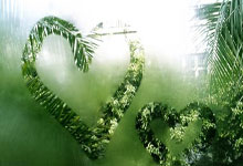 关于詹姆斯焦点对战，JackeyLove与80激战TES分钟，刷新纪录胜负难料！的信息